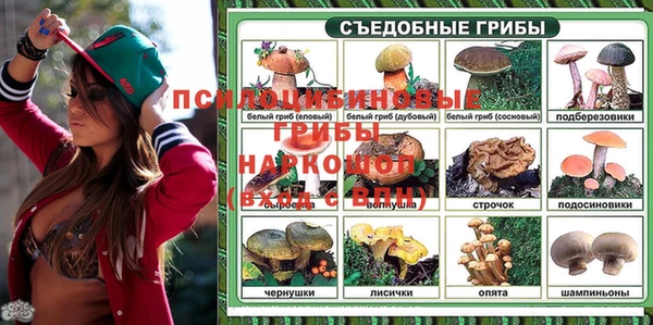 каннабис Богданович