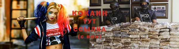 каннабис Богданович