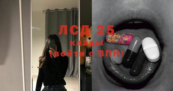 ECSTASY Богородицк