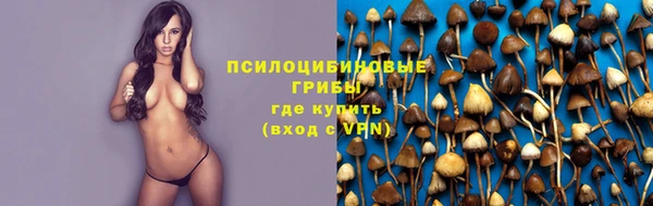 гидропоника Богородск