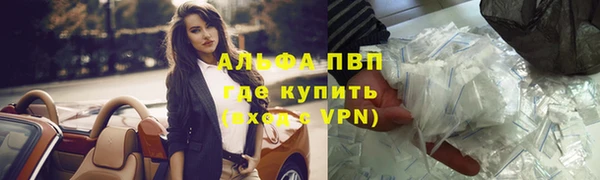 ECSTASY Богородицк