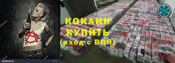 ECSTASY Богородицк