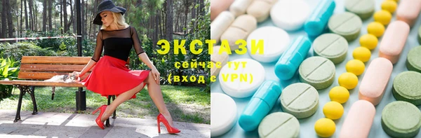 ECSTASY Богородицк