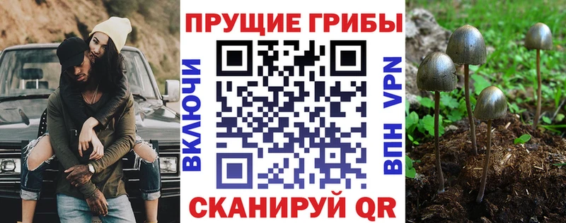 Псилоцибиновые грибы Magic Shrooms  Салават 