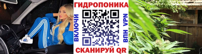 купить наркоту  Салават  Шишки марихуана план 